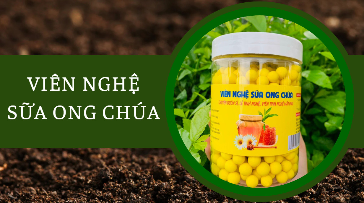 Viên nghệ sữa ong chúa ( dạ dày, làm đẹp)